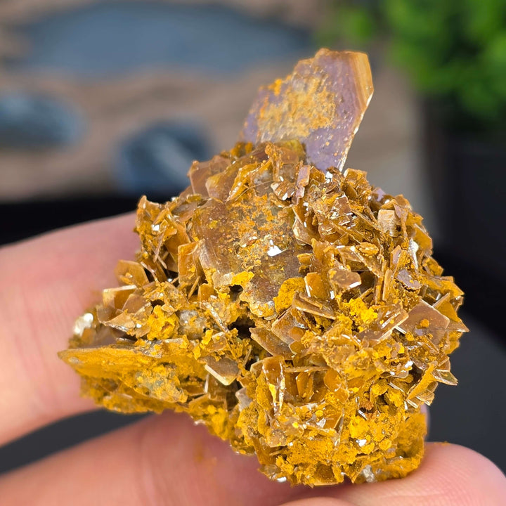Wulfenite - Erupción-Ahumada Mine, Mexico
