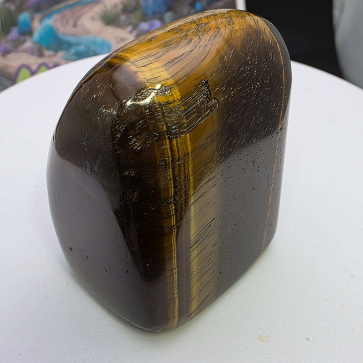 Polished Tiger's Eye freeform showing golden chatoyancy on smooth surface, perfect for home decor or crystal collection.