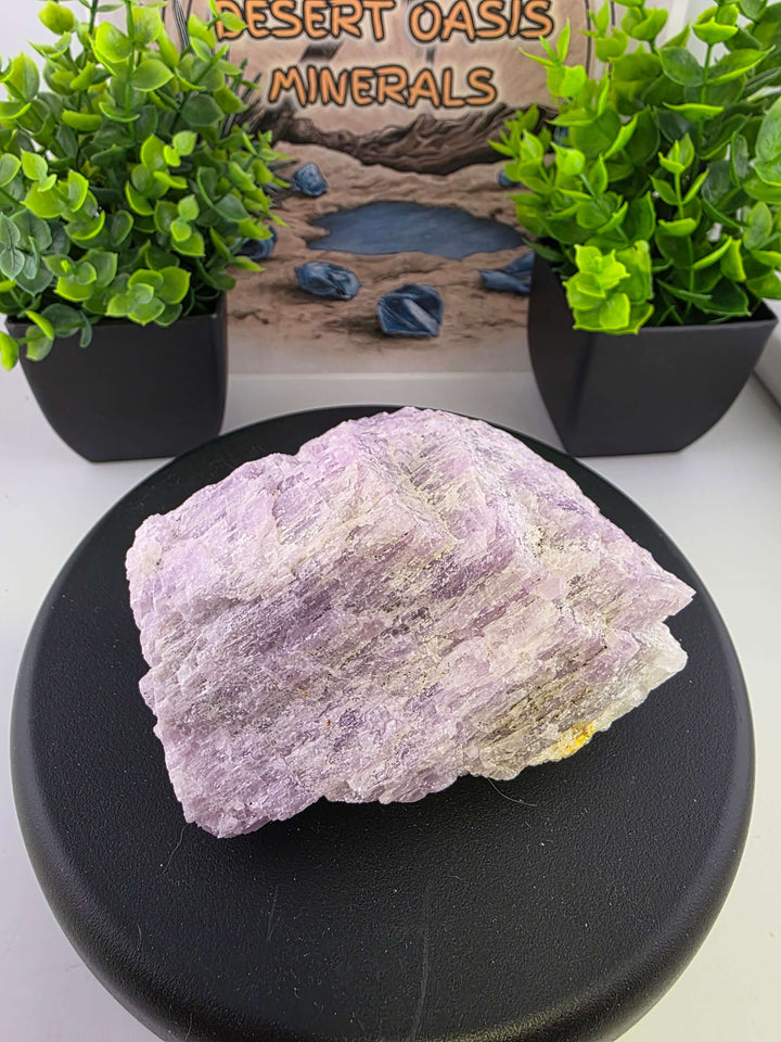 Kunzite Rough Specimen