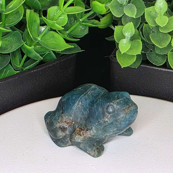 Natural blue apatite frog carving, vibrant color, unique character, decorative piece for desk or shelf.