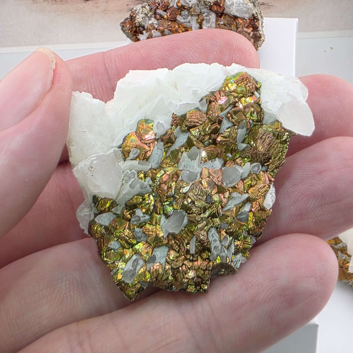 Iridescent Marcasite on Mangano Calcite