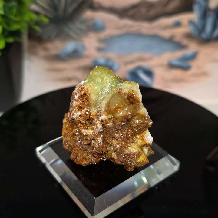 Vibrant Adamite Specimen from Ojuéla Mine exhibiting glowing green crystal formations.