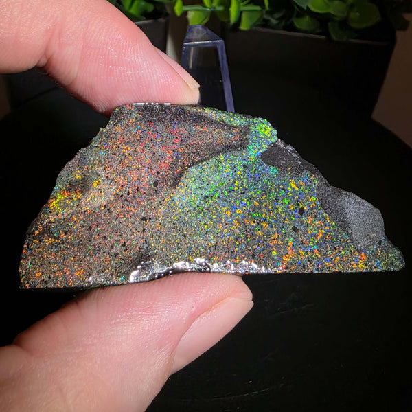 Andamooka Matrix Opal Slab Slice showcasing vibrant colors and natural matrix texture in wet condition
