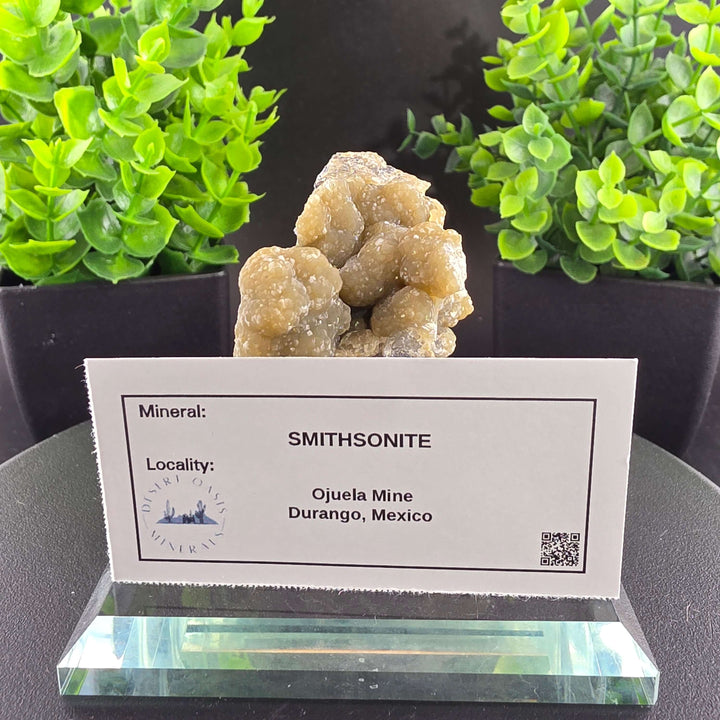 Smithsonite Specimen from Ojuela Mine