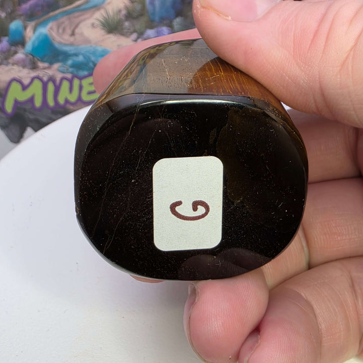Polished Tiger's Eye freeform showcasing its shimmering golden chatoyancy and smooth texture in hand.