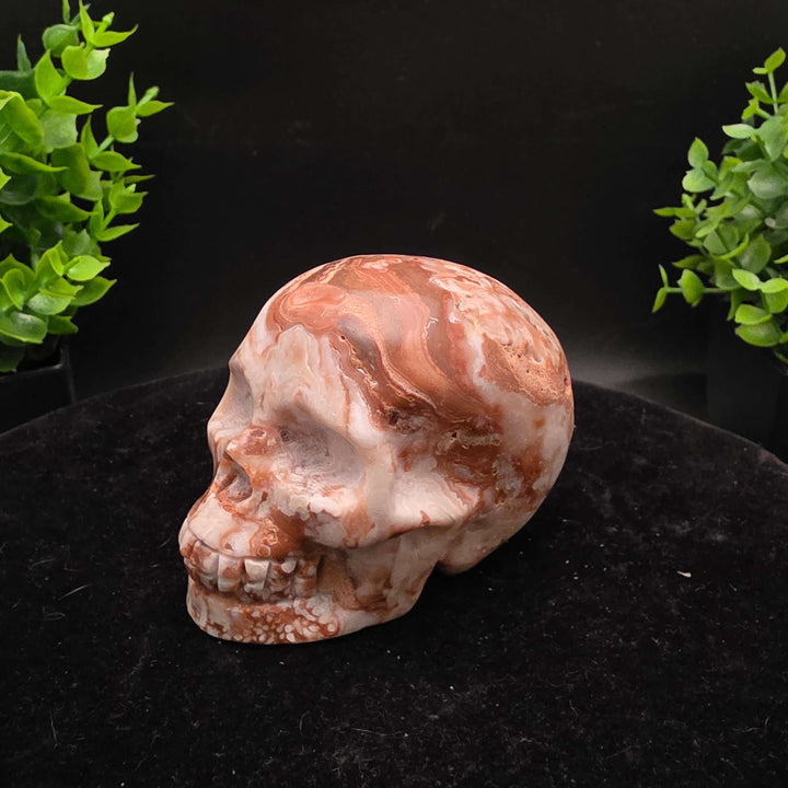 Amber Calcite Skull Carvings - 3 Inch - Stunning hand-carved skulls showcasing warm honey and caramel colors.