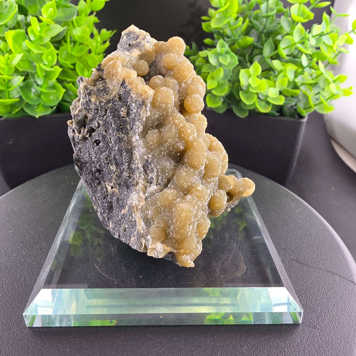 Smithsonite Specimen from Ojuela Mine