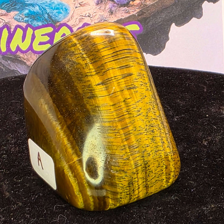 Polished freeform Tiger's Eye stone showcasing golden chatoyancy and smooth texture on a black background.
