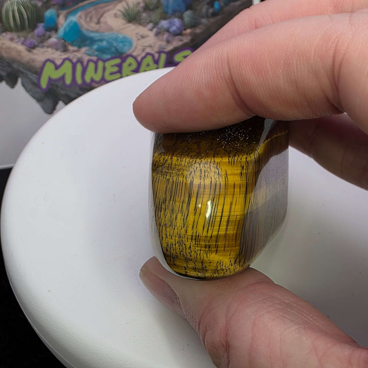 Hand holding a polished Tiger's Eye freeform showcasing its golden color and chatoyancy.