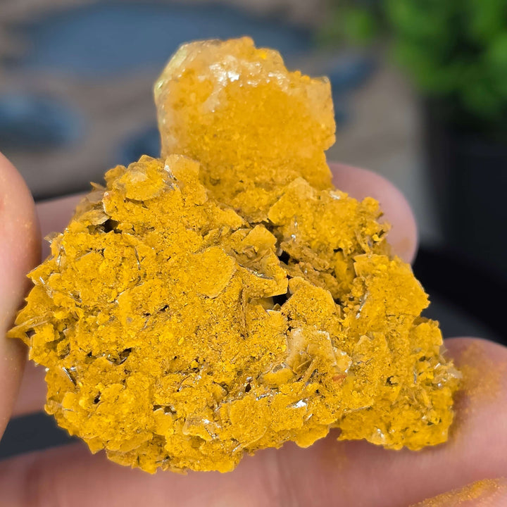 Wulfenite - Erupción-Ahumada Mine, Mexico