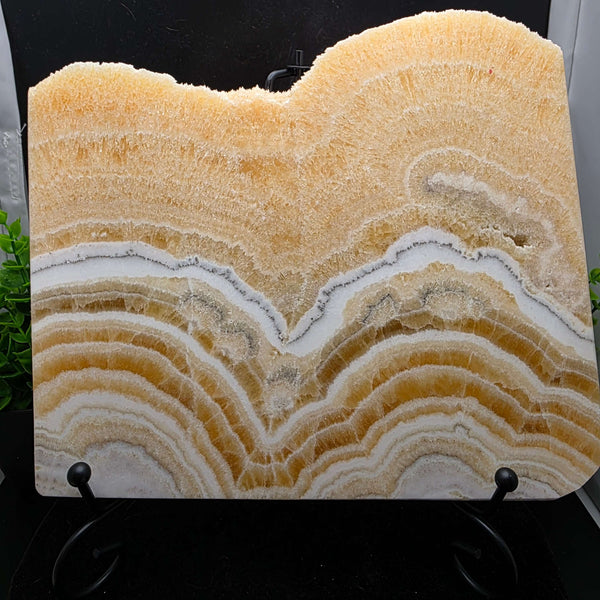 Yellow Banded Calcite Slab / Slice