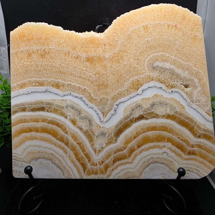 Yellow Banded Calcite Slab / Slice