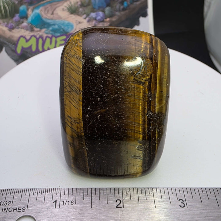 Polished Tiger's Eye freeform with golden chatoyancy and smooth finish, showcasing stunning shimmering bands.