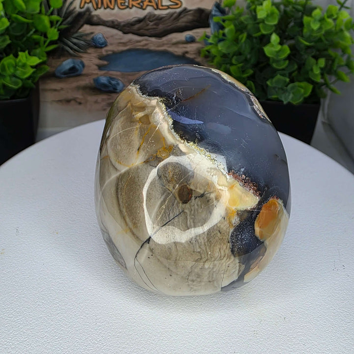 Volcano Agate Skull Carving - 3 inch