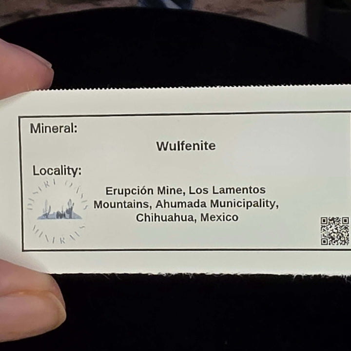 Wulfenite - Erupción-Ahumada Mine, Mexico