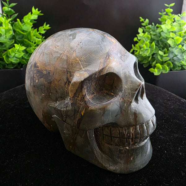 Cherry Creek Jasper Skull Carving - 4.5in