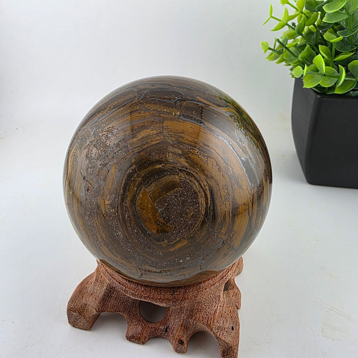 Tiger Iron Polished Sphere Ball - 3.2 Inch displayed on a wooden stand with decorative plants in the background.