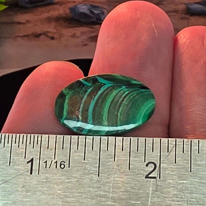 Bring the vibrant energy of nature into your home, or your next creative project, with our stunning Malachite Cabochon Pairs. Each pair features beautifully polished malachite, showcasing its unique swirling patterns, elegantly presented in a crisp white