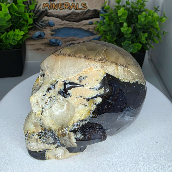 Volcano Agate Skull Carving - 3.25 inch