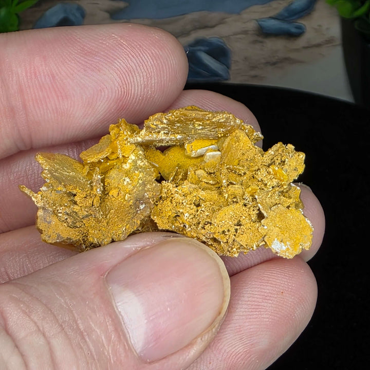 Wulfenite - Erupción-Ahumada Mine, Mexico