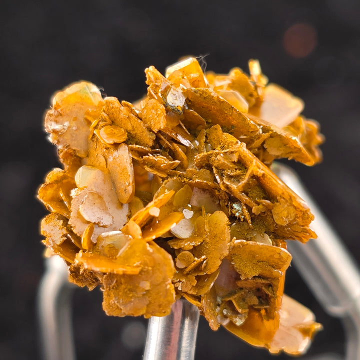 Close-up of vibrant Wulfenite specimen from Erupción Mine, Mexico, showcasing its unique tetragonal crystal formation.