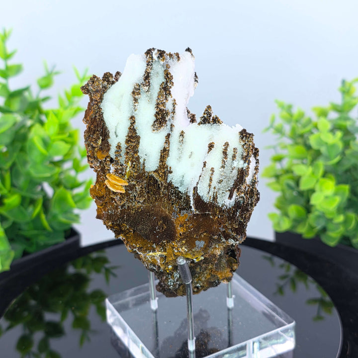 Wulfenite - Erupción-Ahumada Mine, Mexico