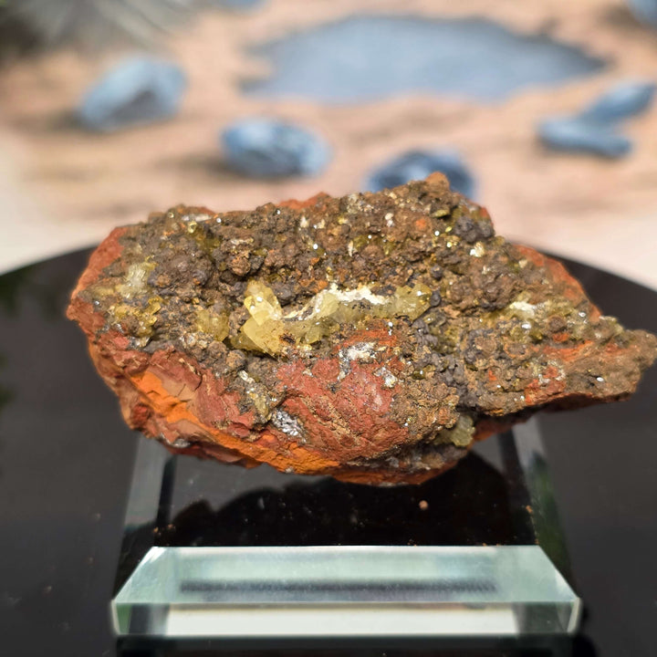 Adamite Specimen: Ojuéla Mine Collector’s Crystal showcasing sharp habit and vibrant colors on display.