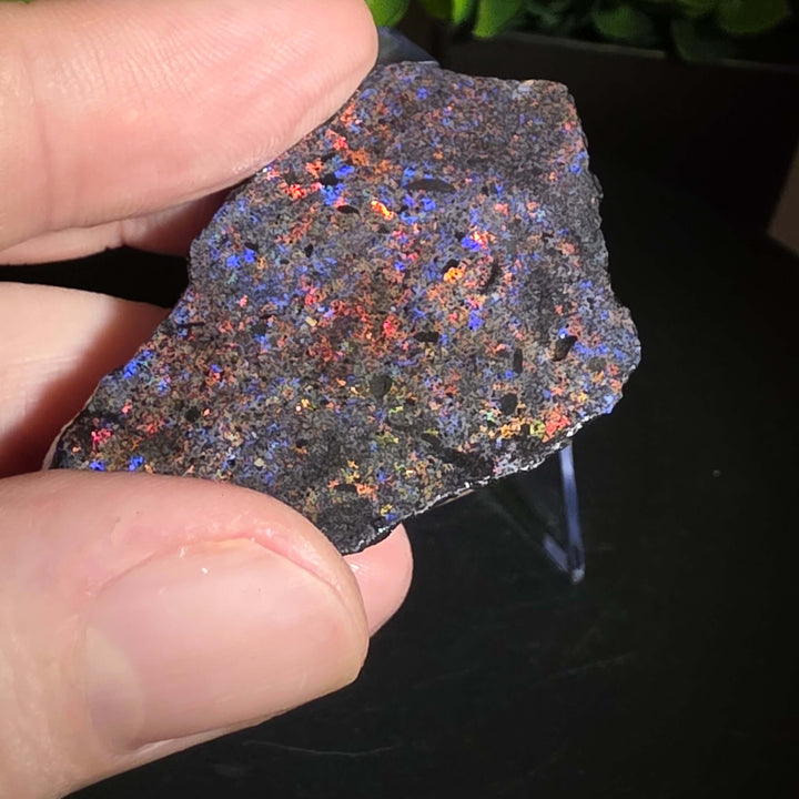 Andamooka Matrix Opal Slab Slice showcasing vibrant colors and natural matrix texture in wet condition