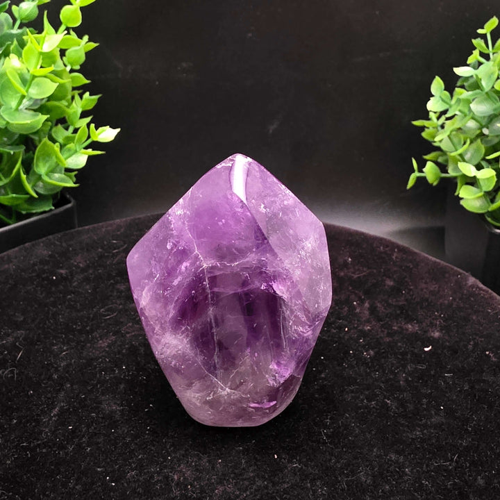 Amethyst Hand Carved Crystal Skull Wand Point Sculpture - 2.5 Inch displayed with two carved skulls and crystal points.