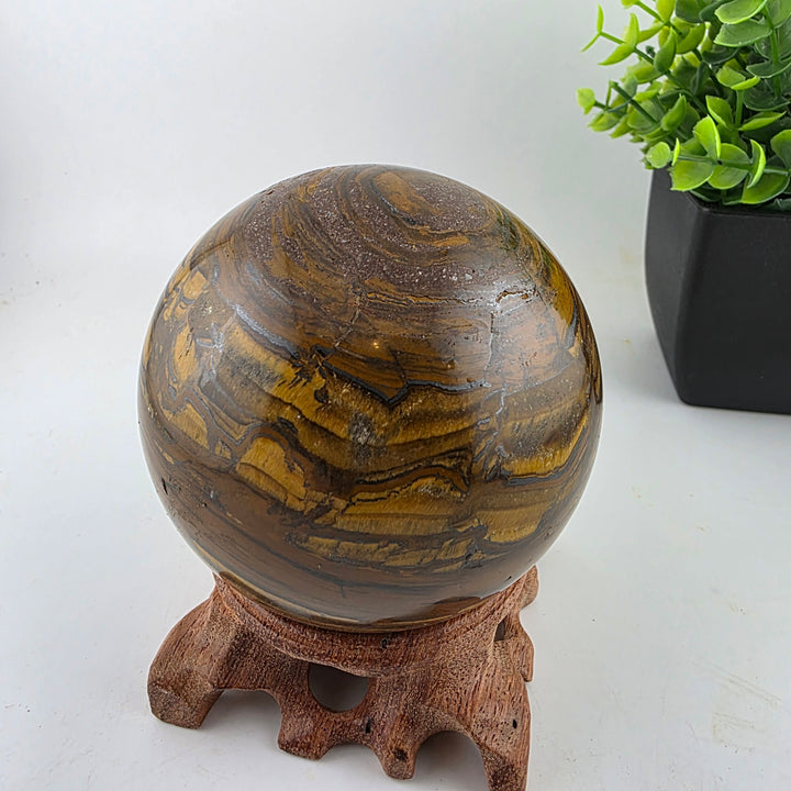Tiger Iron Polished Sphere Ball - 3.2 Inch displayed on a wooden stand with decorative plants in the background.