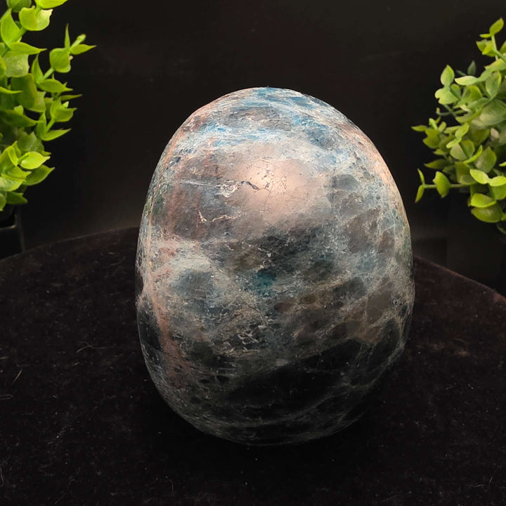 Blue Apatite Crystal Skull Carving - 4 Inch