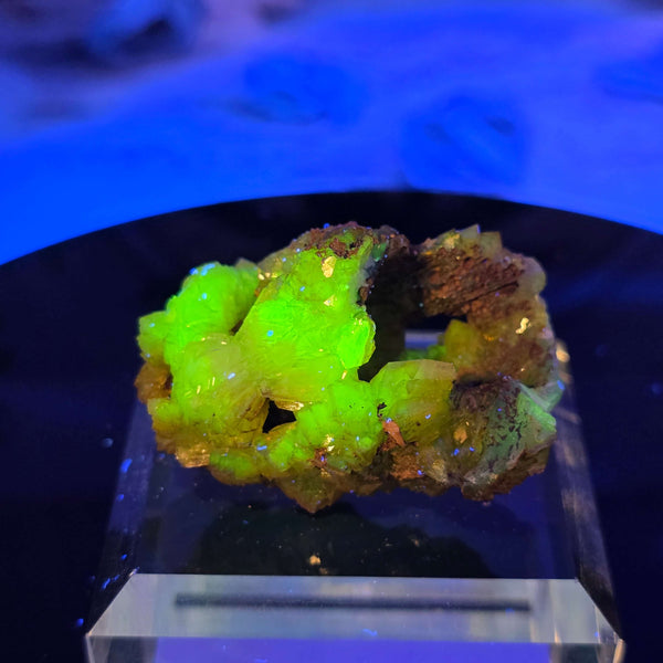 Vibrant Adamite Specimen from Ojuéla Mine exhibiting glowing green crystal formations.
