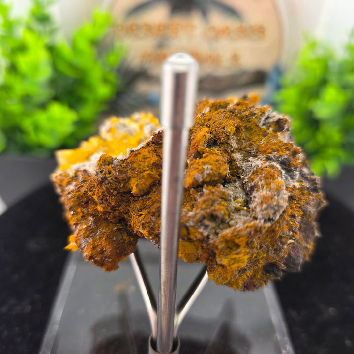 Vibrant Wulfenite specimen from Erupción-Ahumada Mine, Mexico, showcasing unique mineral texture and color.