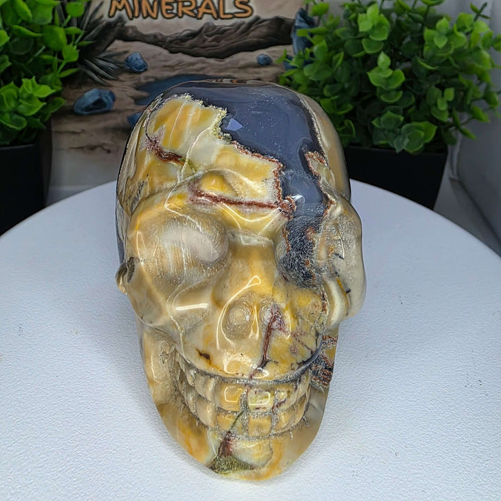 Volcano Agate Skull Carving - 3 inch