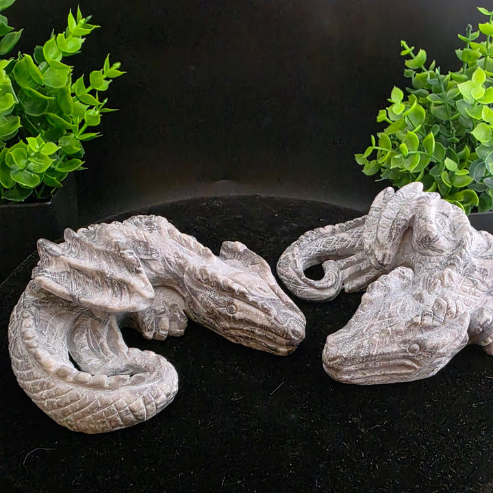 Sleeping Dragon Carvings - Picasso Jasper - 4in