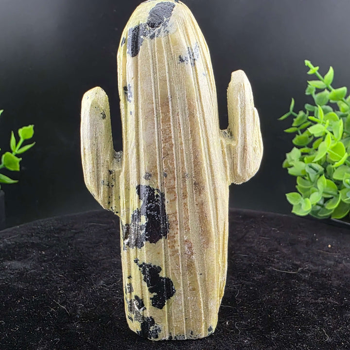 Saguaro Cactus Carving from Peru
