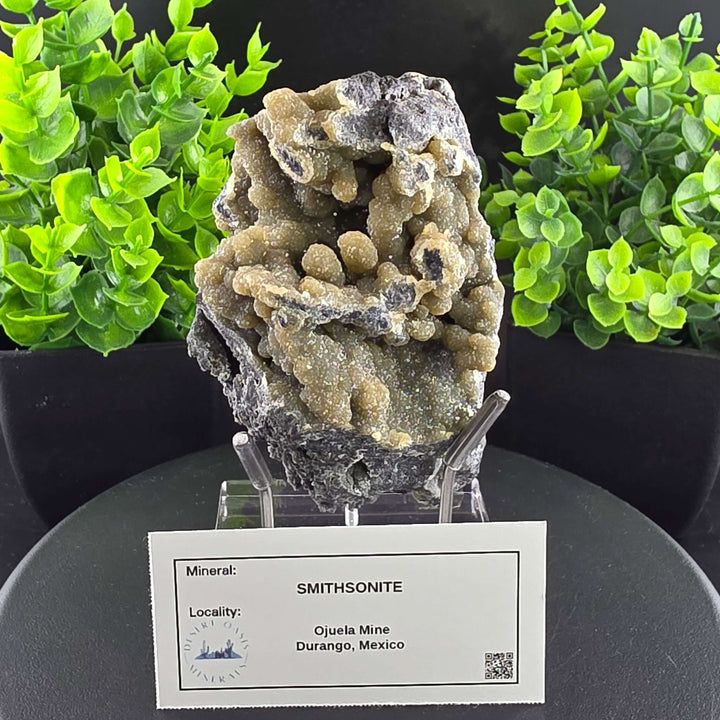 Smithsonite Specimen from Ojuela Mine