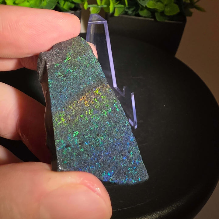 Andamooka Matrix Opal Slab Slice showcasing vibrant colors and natural matrix texture in wet condition