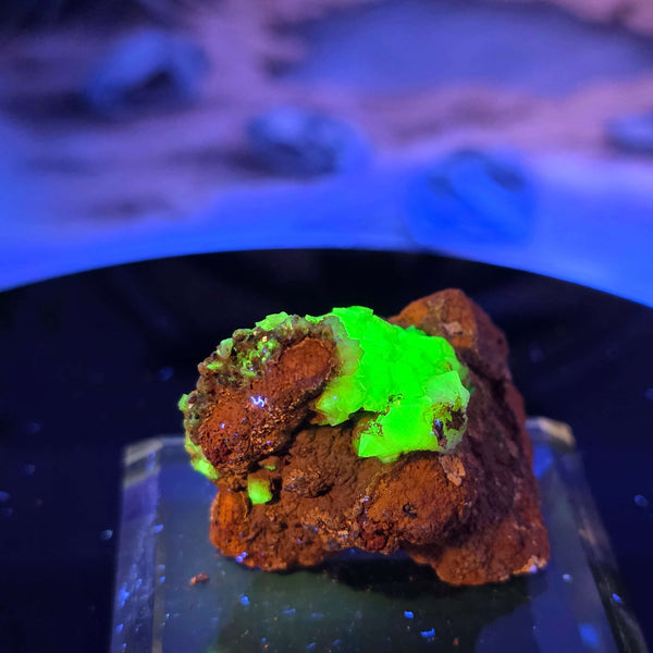 Vibrant Adamite Specimen from Ojuéla Mine exhibiting glowing green crystal formations.