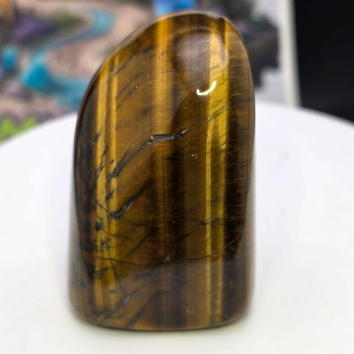 Polished Tiger's Eye freeform showcasing golden chatoyancy and smooth surface.