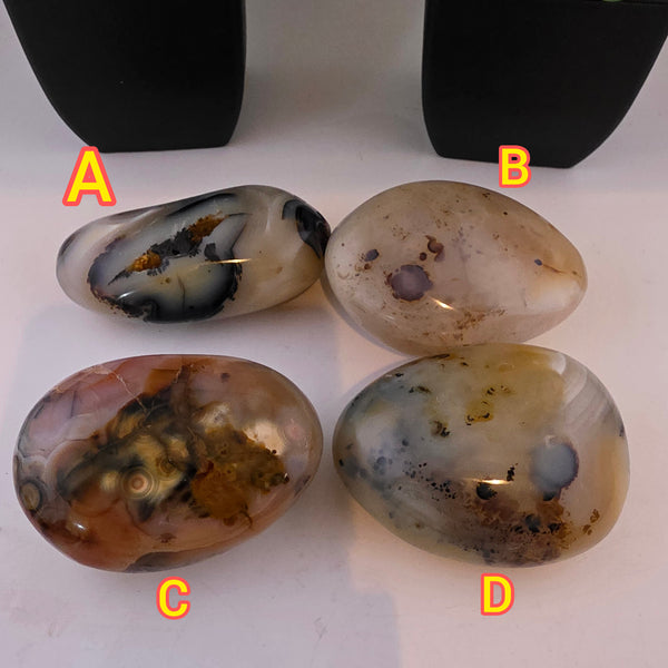 Dendritic Agate Palm Stone Pebbles - Madagascar