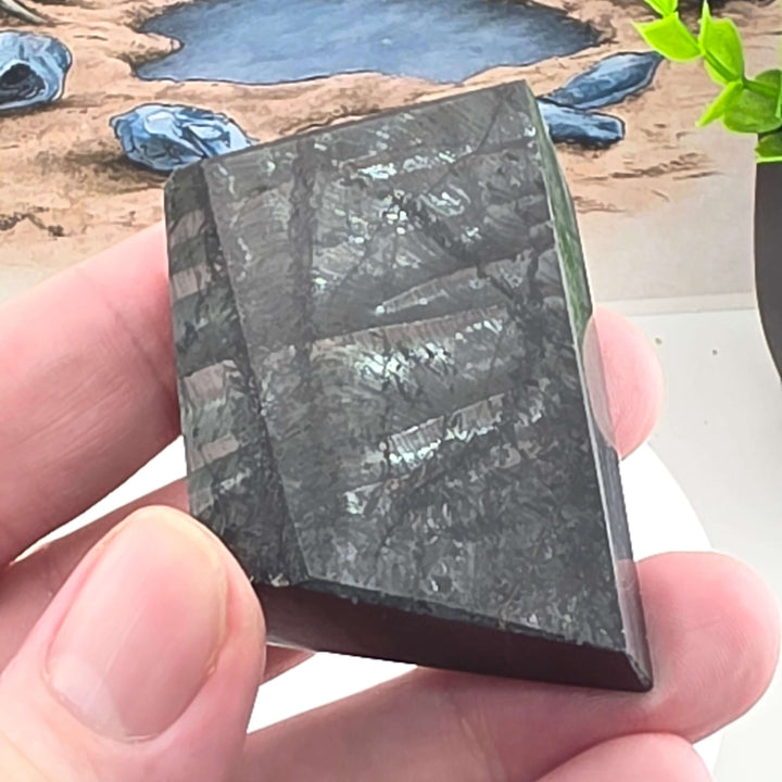 Hypersthene Freeform