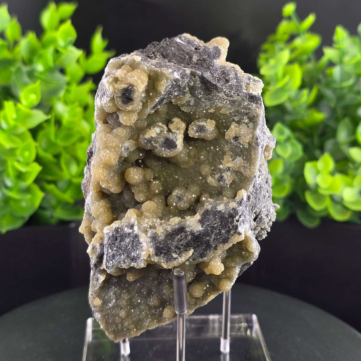 Smithsonite Specimen from Ojuela Mine
