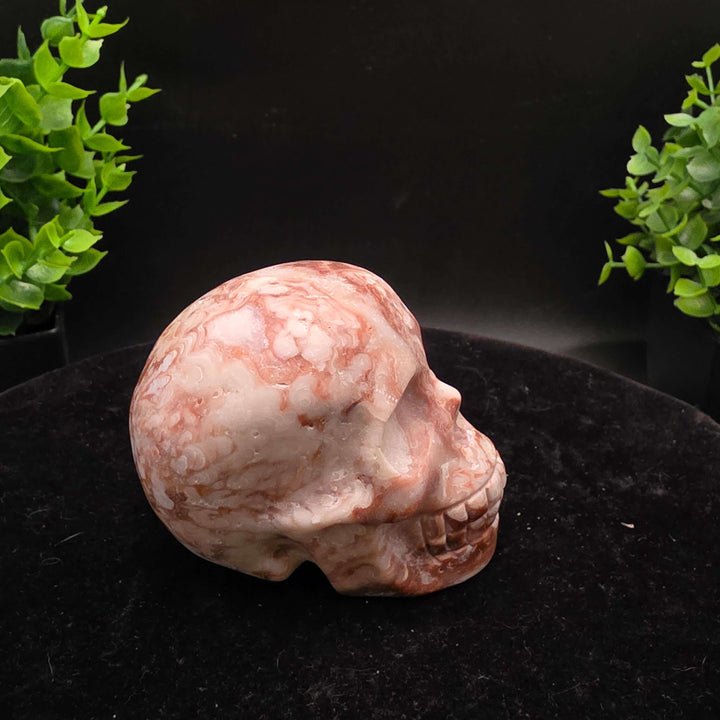 Amber Calcite Skull Carvings - 3 Inch - Stunning hand-carved skulls showcasing warm honey and caramel colors.