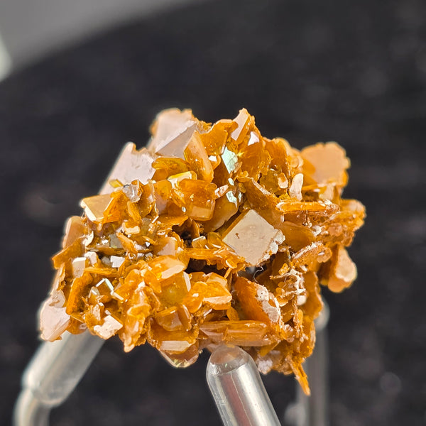 Vibrant Wulfenite specimen from Erupción Mine, Mexico, showcasing classic tetragonal crystal habit.