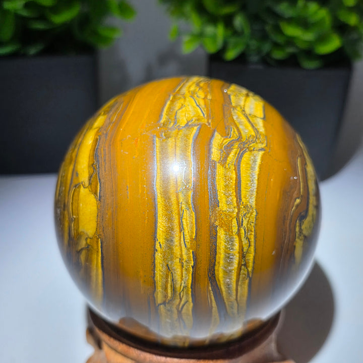 Tiger Iron Polished Sphere Ball - 3.2 Inch displayed on a wooden stand with decorative plants in the background.