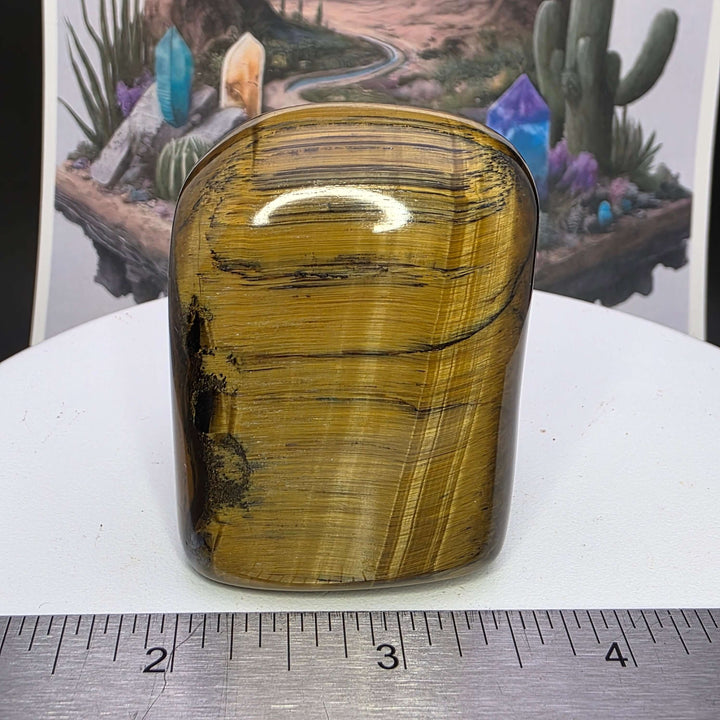 Polished Tiger's Eye freeform showcasing golden chatoyancy and smooth surface, ideal for collectors.