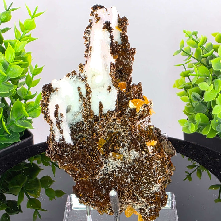Wulfenite - Erupción-Ahumada Mine, Mexico