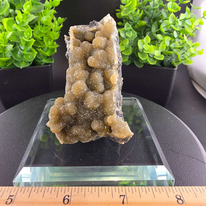 Smithsonite Specimen from Ojuela Mine
