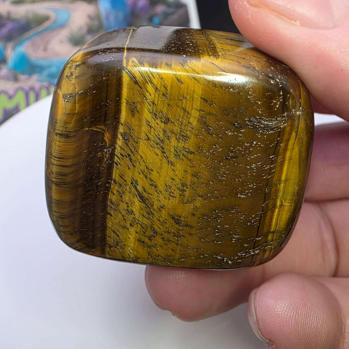 Polished Tiger's Eye freeform with stunning golden chatoyancy held in hand, showcasing its shimmering bands.